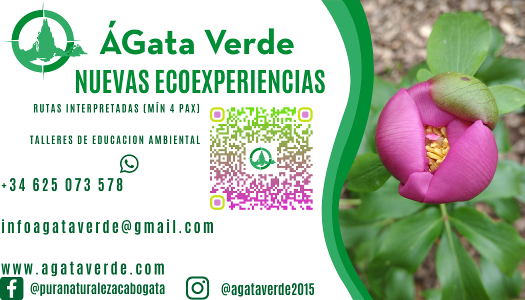 Tarjeta de visita ECODESTINO VALLE DE ALCUDIA 1